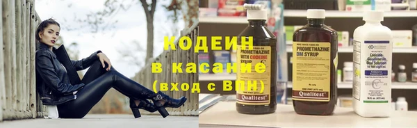 мдпв Кодинск