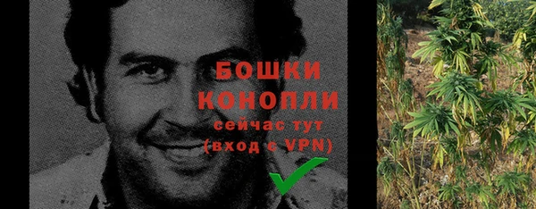 молекула духа Краснослободск