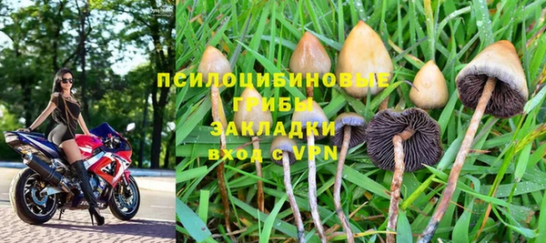 мдпв Кодинск