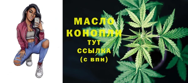 молекула духа Краснослободск